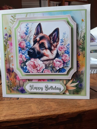 Framed floral puppy card front 15 by Ann Davies