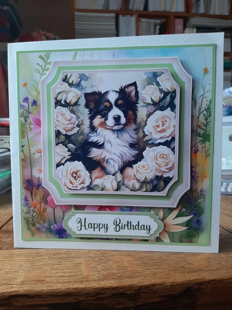 Framed floral puppy card front 19 by Ann Davies