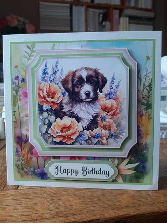 Framed floral puppy card front 22 by Ann Davies