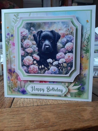 Framed floral puppy card front 23 by Ann Davies