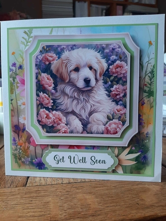 Framed floral puppy card front 24 by Ann Davies