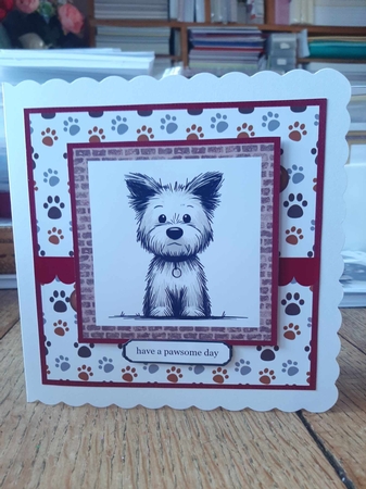 westie Puppy Birthday by Ann Davies