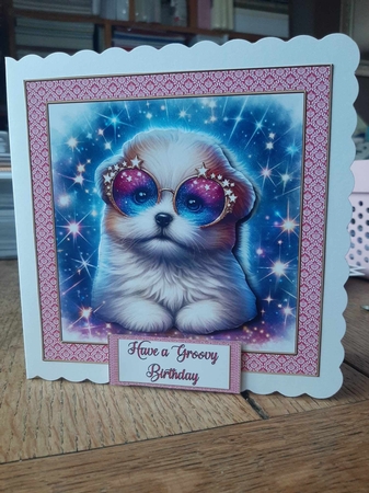 Sunglass Pup 4 by Ann Davies