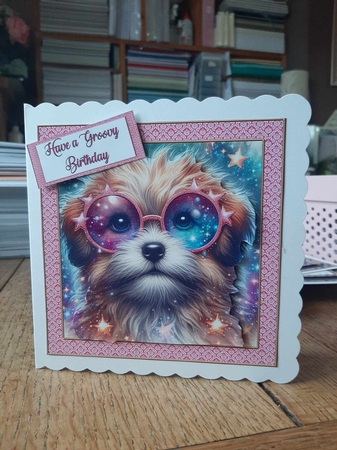 Sunglass Pup 8 by Ann Davies