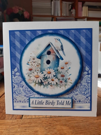Blue bird card front 3 by Ann Davies