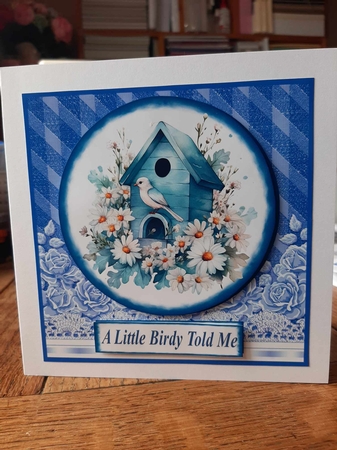 Blue bird card front 4 by Ann Davies
