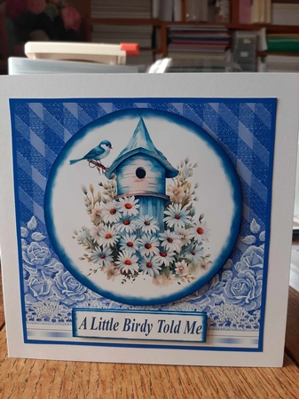 Blue bird card front 4 by Ann Davies