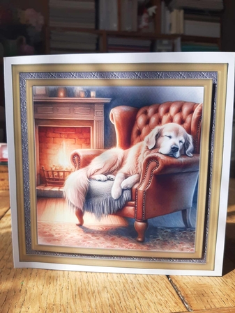 Im just resting my eyes card front 16 by Ann Davies