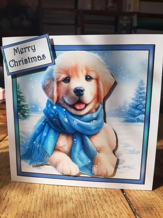 Golden puppy with blue scarf 2 by Ann Davies