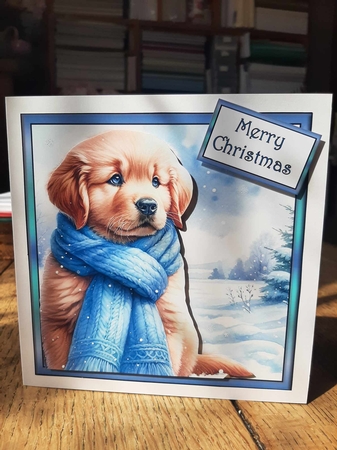 Golden puppy with blue scarf 3 by Ann Davies