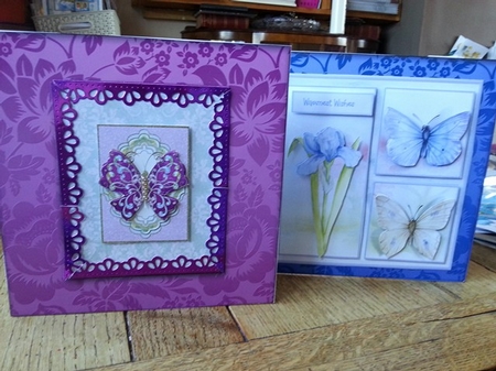8x8 Frames cu4cu cu and pu ok  by Ann Davies
