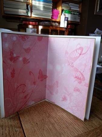 Butterfly Coral Plain Insert 2 by Ann Davies