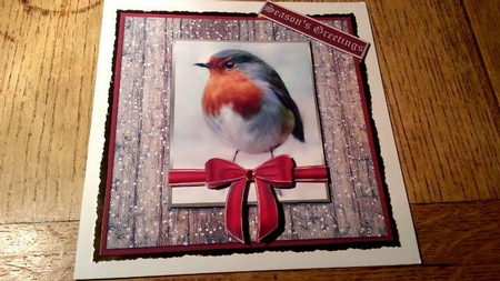 CHRISTMAS ROBIN MINI KIT by Ann Davies