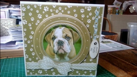 BULL DOG THANK YOU AND VARIOUS OTHER SENTIMENTS by Ann Davies