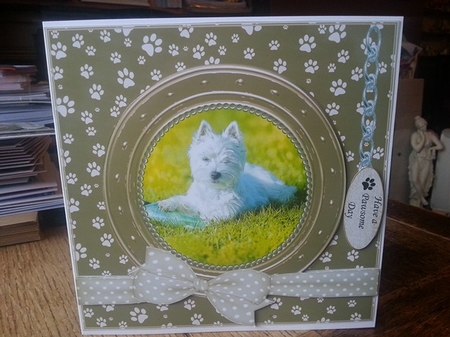 WESTIE TERRIER 1 THANK YOU AND VARIOUS OTHER SENTIMENTS  by Ann Davies