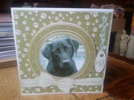 BLACK LAB THANK YOU AND VARIOUS OTHER SENTIMENTS by Ann Davies