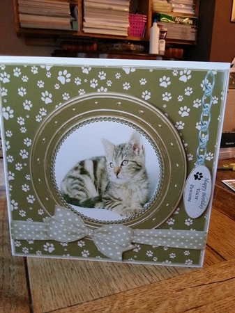 TABBY CAT 2 THANK YOU AND VARIOUS OTHER SENTIMENTS by Ann Davies