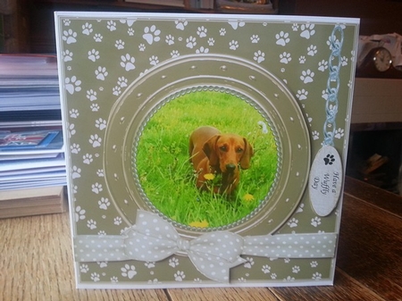 DACHSUND THANK YOU AND VARIOUS OTHER SENTIMENTS by Ann Davies