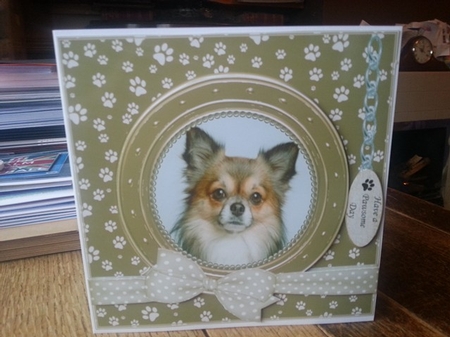 CHIHUAHUA 1 THANK YOU AND VARIOUS OTHER SENTIMENTS by Ann Davies