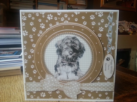 FLUFFY MIXED BREED THANK YOU AND VARIOUS OTHER SENTIMENTS by Ann Davies