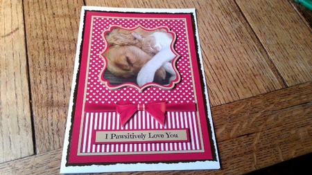 I Pawsitively Love You by Ann Davies