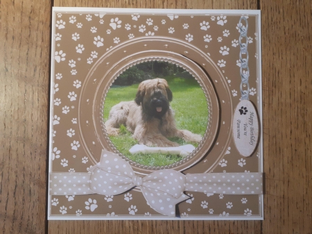BRIARD 1 THANK YOU AND VARIOUS OTHER SENTIMENTS by Ann Davies