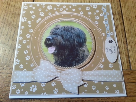 BRIARD 2 THANK YOU AND VARIOUS OTHER SENTIMENTS by Ann Davies