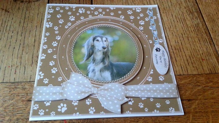 SALUKI THANK YOU AND VARIOUS OTHER SENTIMENTS by Ann Davies
