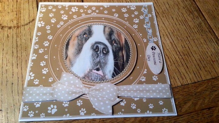 ST BERNARD THANK YOU AND VARIOUS OTHER SENTIMENTS by Ann Davies