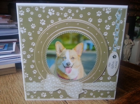 CORGI THANK YOU AND VARIOUS OTHER SENTIMENTS by Ann Davies