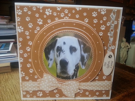 DALMATION THANK YOU AND VARIOUS OTHER SENTIMENTS by Ann Davies