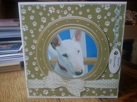 WHITE BULL TERRIER THANK YOU AND VARIOUS OTHER SENTIMENTS by Ann Davies