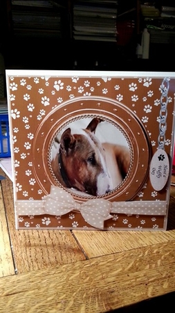 ENGLISH BULL TERRIER THANK YOU AND VARIOUS OTHER SENTIMENTS by Ann Davies