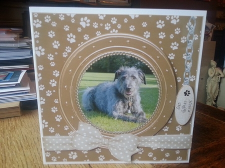LURCHER THANK YOU AND VARIOUS OTHER SENTIMENTS by Ann Davies