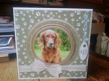 RED SETTER THANK YOU AND VARIOUS OTHER SENTIMENTS by Ann Davies