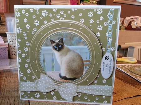 SIAMESE CAT THANK YOU AND VARIOUS OTHER SENTIMENTS by Ann Davies
