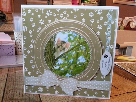 KITTEN 3 THANK YOU AND VARIOUS OTHER SENTIMENTS by Ann Davies