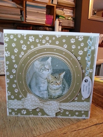 KITTENS 1 THANK YOU AND VARIOUS OTHER SENTIMENTS by Ann Davies