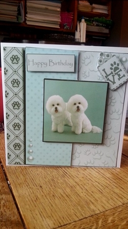 Dogs leave paw prints on your heart  by Ann Davies