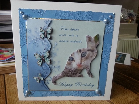 TIME SPENT WITH A CAT BIRTHDAY TOPPER by Ann Davies