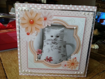 Birthday Female Quick card by Ann Davies