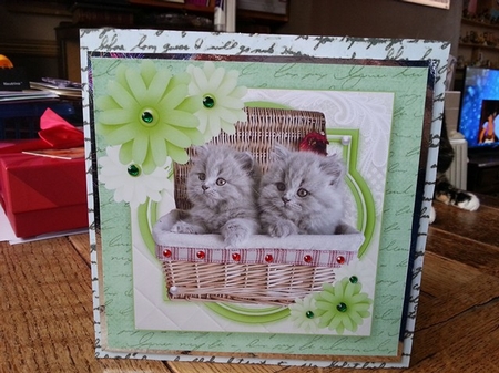 Birthday Female Quick card by Ann Davies