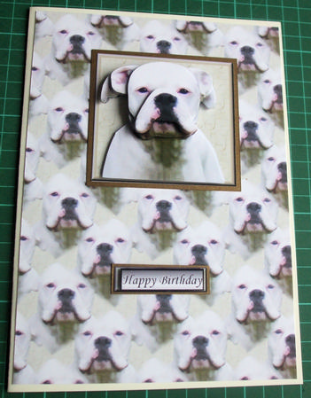 White Boxer Dog Portrait 3D Decoupage with Background by Catherine Nelson