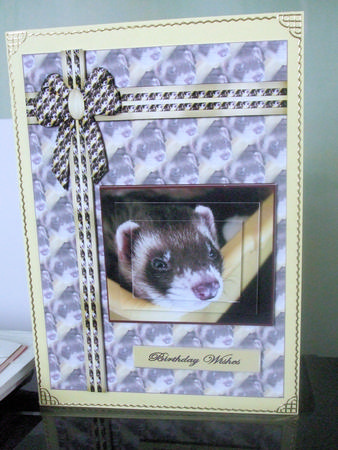 Ferreting Around by Catherine Nelson