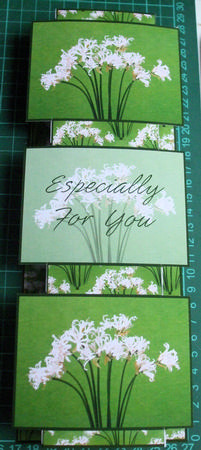 Pretty White Flowers 3 Panel Fold Back by Catherine Nelson