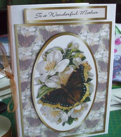 Wild Roses and Butterfly by Catherine Nelson
