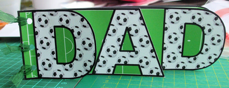 Football Dad Wordbook by Catherine Nelson