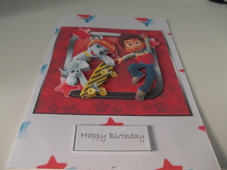 Paw Patrol Is On A Roll 4 by Janet Barker