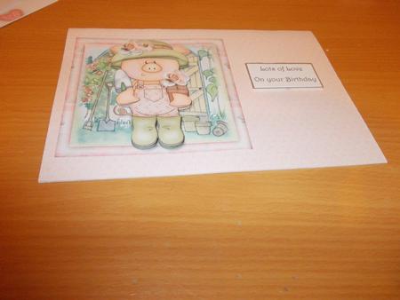 Lady Piggin' Cheers Mini Kit by Janet Barker