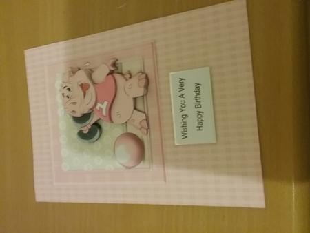 Piggin' Diet by Janet Barker